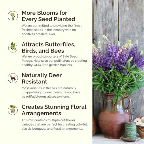 Texas Wildflower Mixed Seeds for Planting (1 Pound / Texas Wildflower)