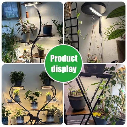 2 Heads 3000K Full Spectrum Plant Strips for Succulent Seedling Growing Automatic Cycle Timer (Black Cabel 3000K / 2 Head 1 Pack)