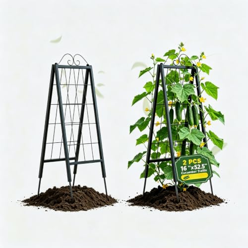 Metal Garden Trellises … (16" x 52.5"H A-Frame 2 Pack)