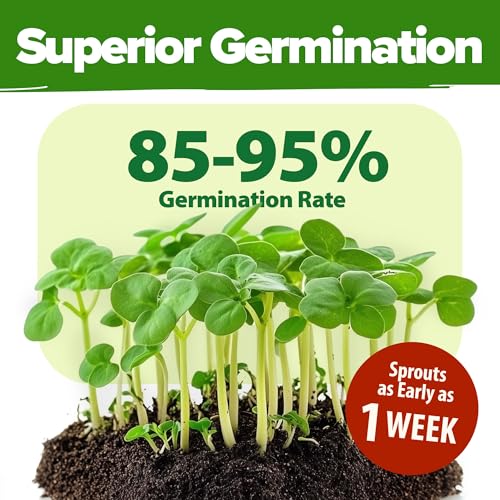 70 Variety Vegetable & Herb Seeds 30