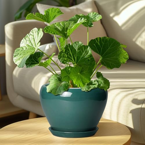 8 Inch Plant Pot (8 Inch / Green)
