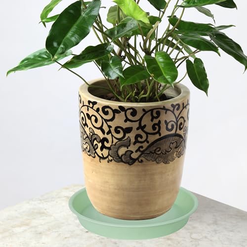 2 Pack of 10 inch Plant Saucer Gray (10" (2 pack) / Light Green)