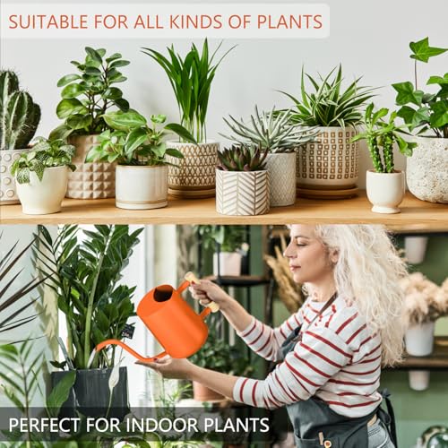 Watering Can Indoor Plants (Orange)