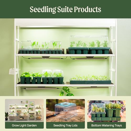Standard Seedling Trays Without Lids (16 Count)