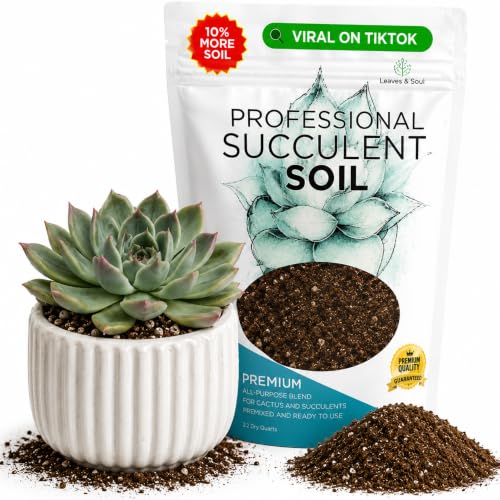 Professional Succulent Soil Mix Ready to Use Extra Large 8.2 Quarts (262.4 Ounce)