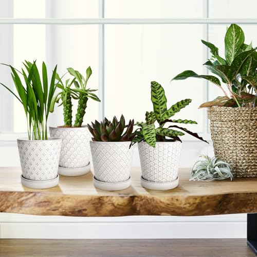 Ceramic Plant Pots Indoor (4 Count)