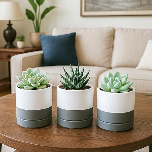 4.7 Inch Ceramic Planter Pot