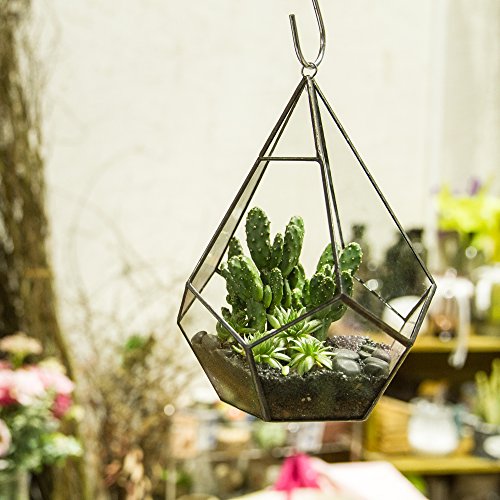 Hanging Glass Geometric Terrarium for Succulent (Black / Medium)