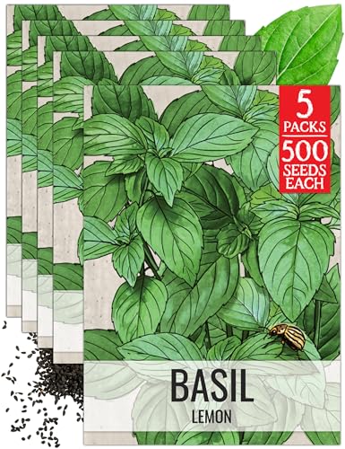 Herb Seeds to Plant Lemon Basil (5 Packs)