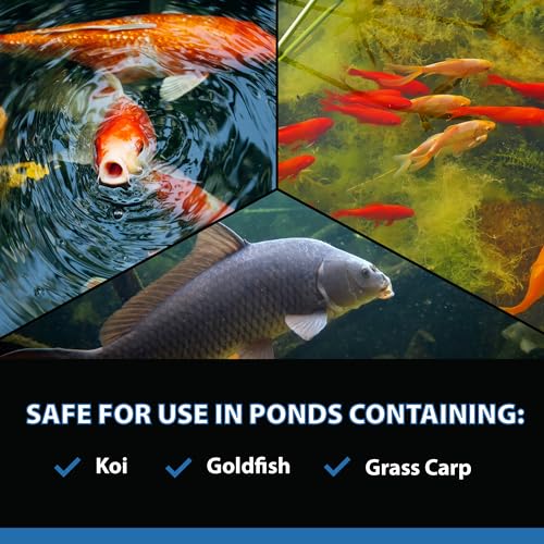 AlgaeOff String Algae Killer for Pond & Water Garden (8 Pounds)