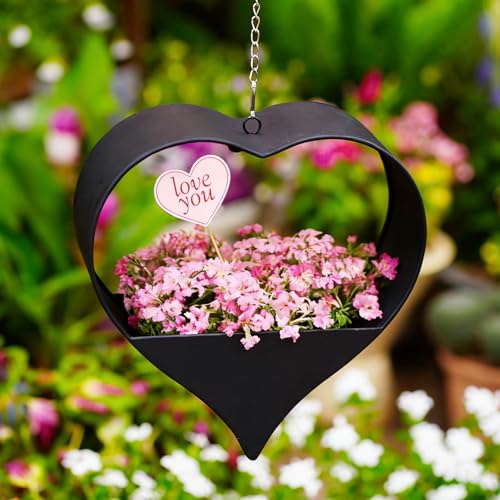 Metal Plant Hangers Indoor and Outdoor