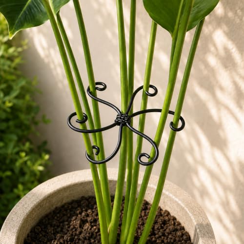 5PCS Monstera Plant Stem Support (Black / 2.75IN*2.75IN)
