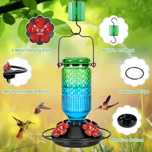 Glass Hummingbird Feeder for Outdoors (Green-Blue Ombre)