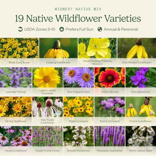 Native Midwest Wildflower Seed Mix (1 Ounce / Native Midwest)