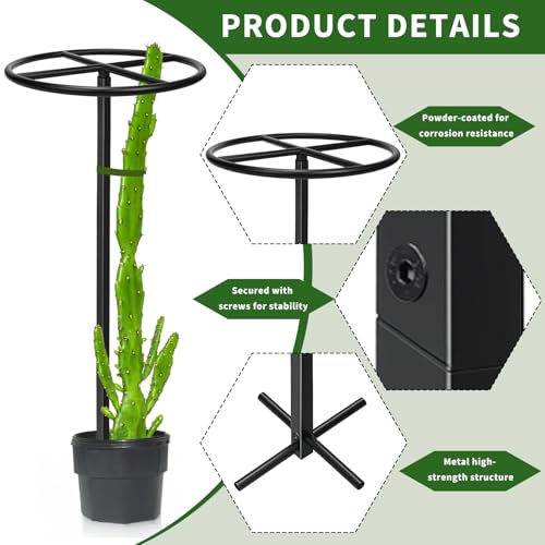 2 Pcs Heavy Duty Dragon Fruit Trellis (2 Pcs Round)