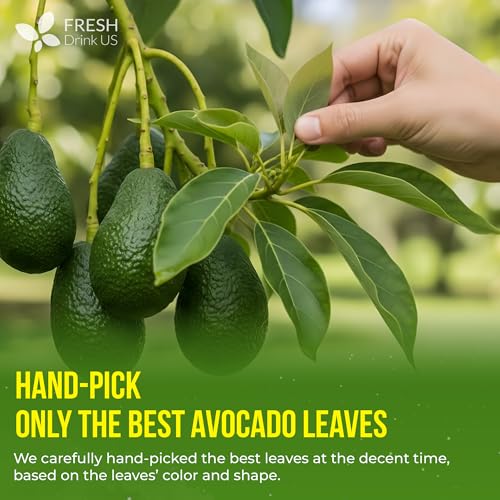 120 Avocado Dried Leaves Tea (120 Count)