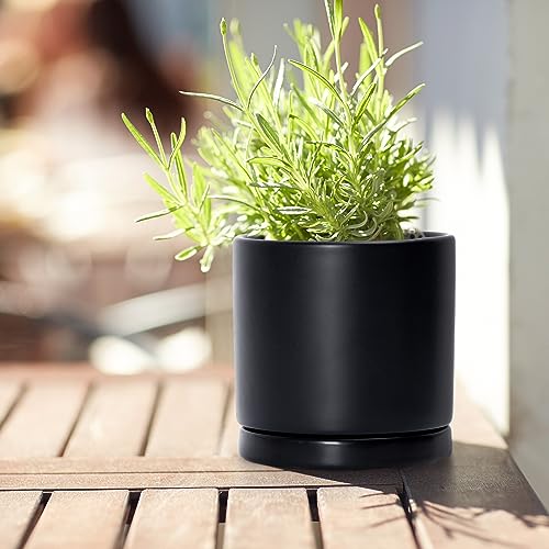 3 Pack Black Terracotta Pots & Saucers (4+5+6 Inch / Black)