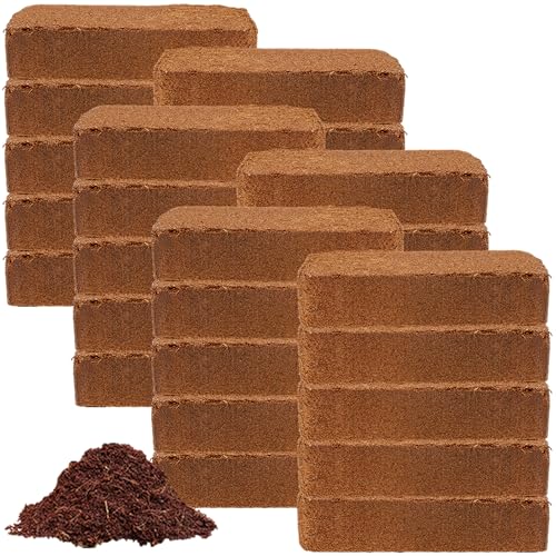 Coco Coir 650gm Bricks (Coco Bliss 650gm (30 Bricks))