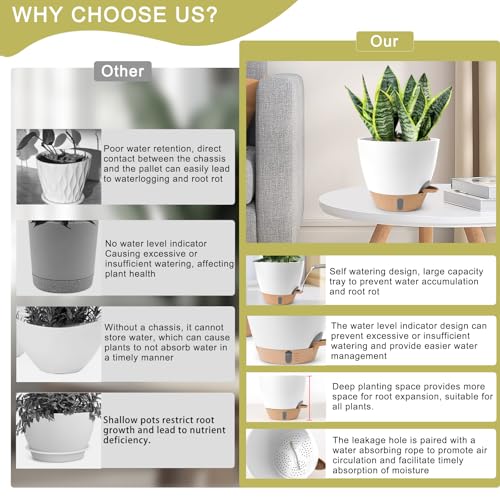 Self Watering Pots for Indoor Plants 12 (White)