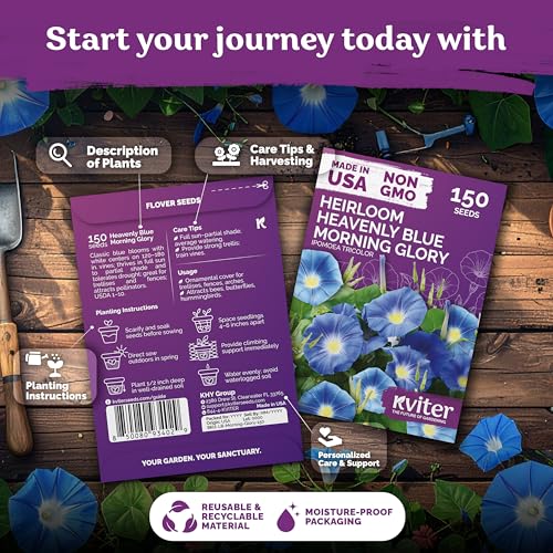 150 Heavenly Blue Morning Glory Heirloom Flower Seeds