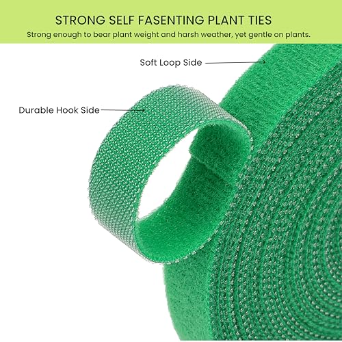 Plant Ties Hook and Loop Garden Tapes 1 (1/2 Inch x 32 Feet / Green)