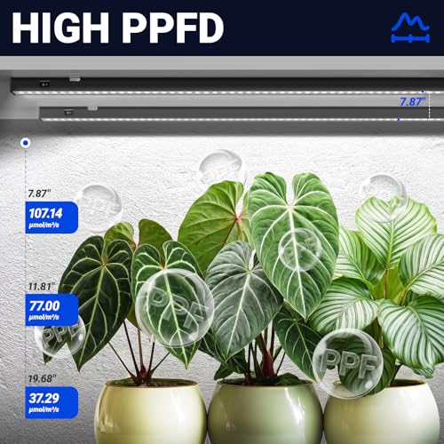 T5 Grow Lights for Indoor Plants (White / 2FT-Black Cover)