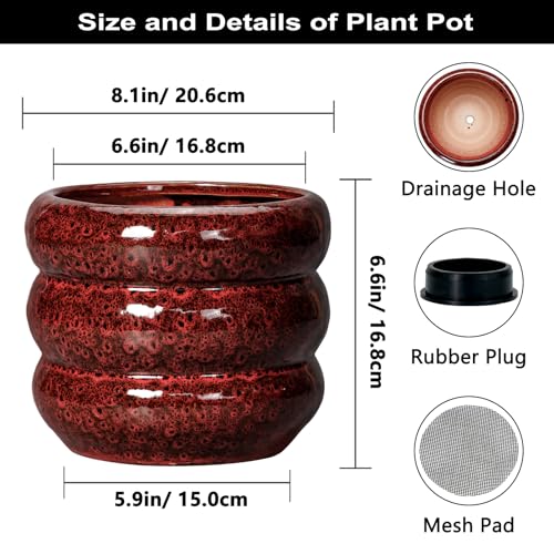 Ceramic Flower Pots (8 Inch / Leopard Print Red)
