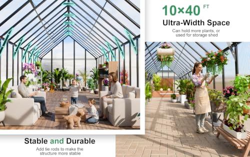 40x10x10 FT Polycarbonate Greenhouse for Outdoors w