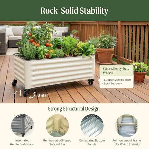 Classic Rolling Citrus Tree Planter (Pearl White / 1.75'X1.75')