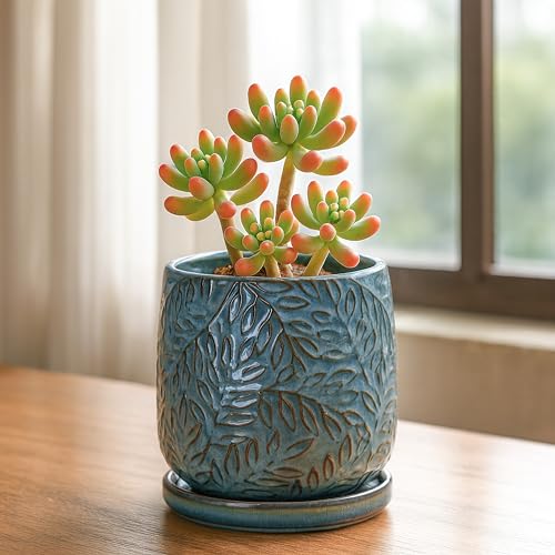 Embossed Leaves Ceramic Planter (4 Inch / Ocean Teal)