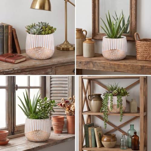 2‑Pack 6 Inch Succulent Planter Pots with Drainage Holes (White Gold)
