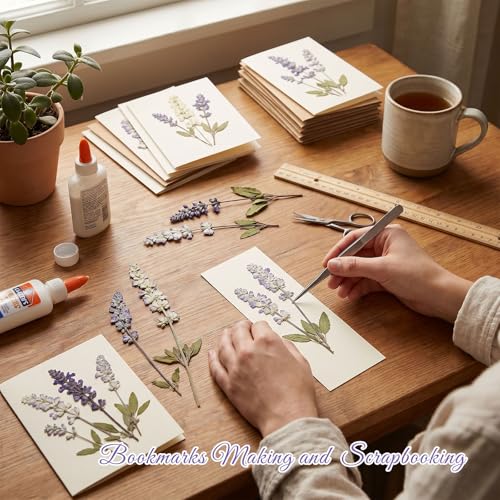 48 Pcs Natural Dried Pressed Garden Sage Flowers for Cake Decorating (Garden Sage)