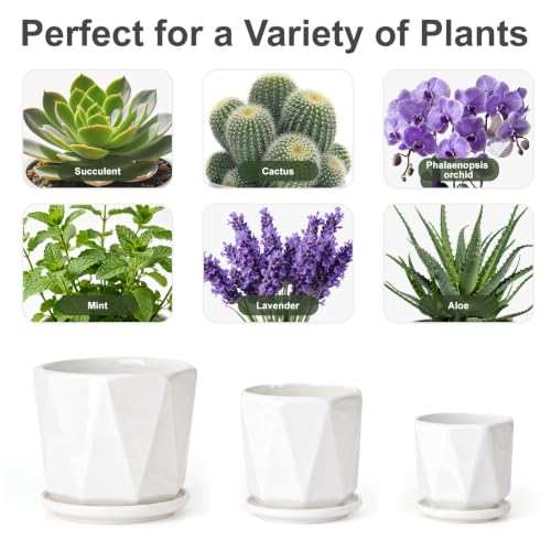 White Ceramic Planter Set of 3 with Drainage and Saucer (Pure White)