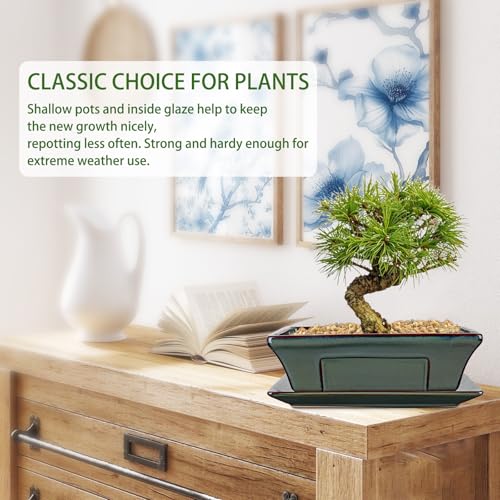 Set of 2 Large Bonsai Pots with Drainage Tray (Green / 10"x7.4"x3.1")