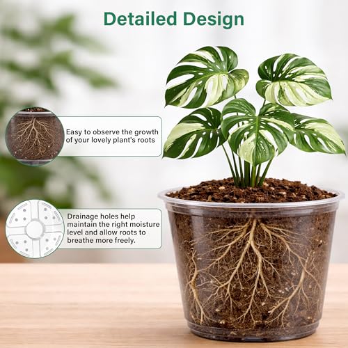 Clear Nursery Pots with Drainage Holes (5/6/8/10 Inch-16Pcs)