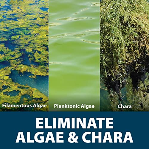 Algae Defense EPA Registered Algaecide for Large Ponds & Lakes 1 Gal