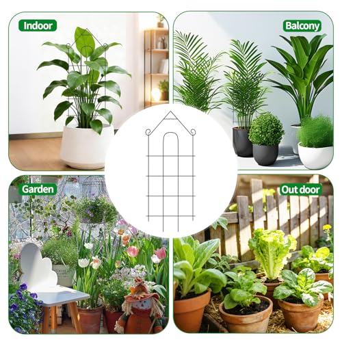 24" Plant Trellis (6Pack-24 inch house shape)