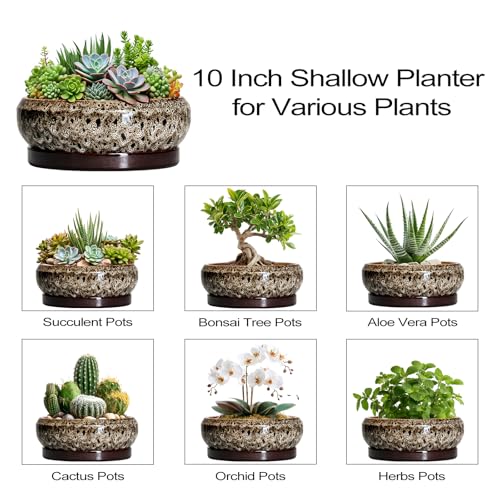 Succulent Pots 10 Inch (10 Inch / Leopard Brown-white)