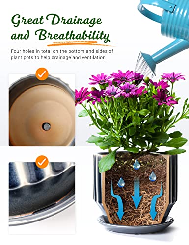 Plant Pots 6 inch Ceramic Pots for Indoor Plants Set of 2 Flower Pots Unique Crackle Glaze Design Plant Pots with Drainage Hole and Saucer Come with Drainage Nets (2 Count)