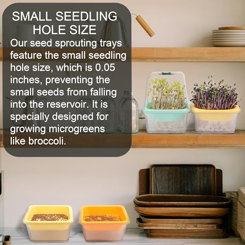 Microgreen Growing Trays (6 Pack-clear Base)