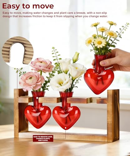 Plant Terrarium with Wooden Stand (Red)