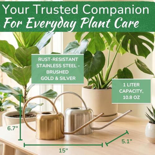 Stainless Steel Houseplant Watering Can