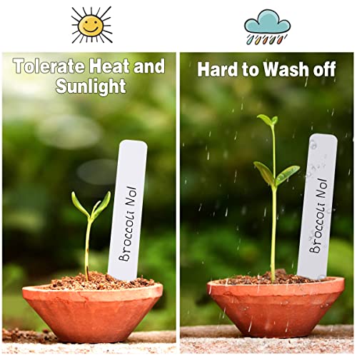 Plant Labels 4 Inch 300Pcs Plastic Plant Name Tags for Seedlings (300 Count)