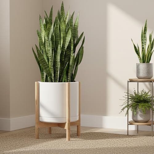 Ceramic Pot with Natural Wood Stand (14 Inch / White Pot + Natural Stand)