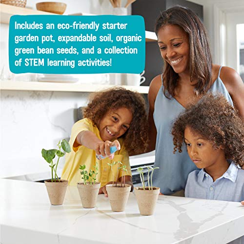Kids Science Grow Kit (Bean and Watermelon Kit)