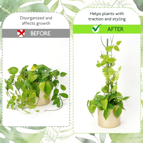 12 Pack Monstera Plant Support Stakes (12Pack-27.5 Inch)