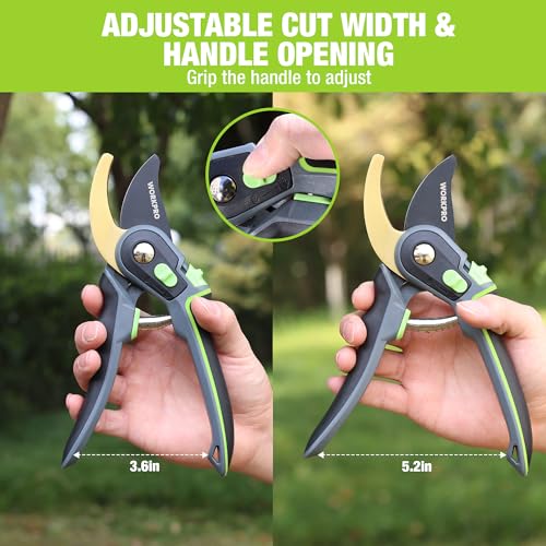 Pruning Shears