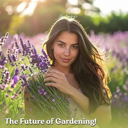 2000 English Lavender Heirloom Herb Seeds