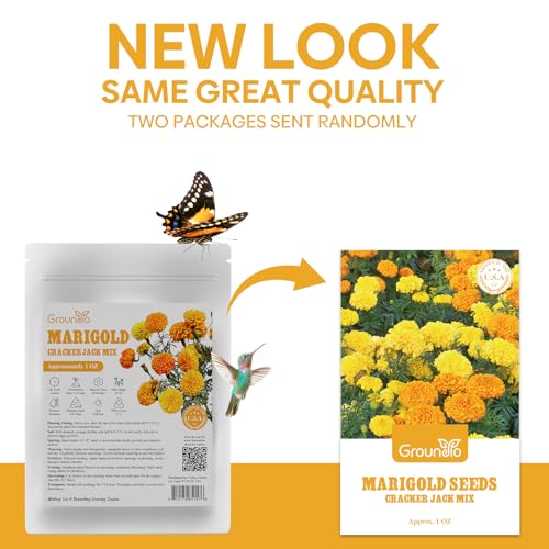 Marigold Seeds