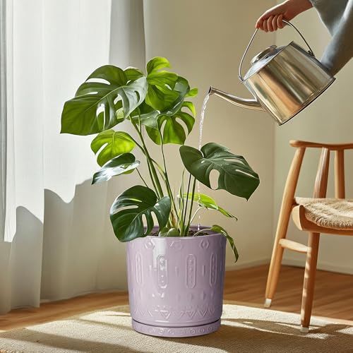 Ceramic Plant Saucer (11.4 Inch / Purple)